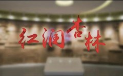 金沙视讯中心党建工作品牌——“红润杏林”
